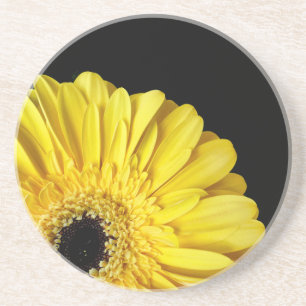 Porta-copos Gerbera Flower