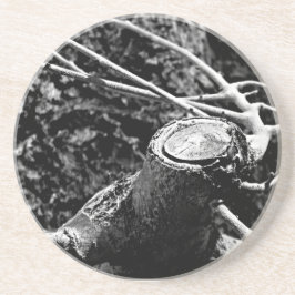 Porta-copos girar-me à volta da árvore