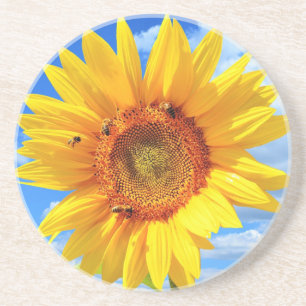 Porta-copos Girassol Amarelo e Abelhas no Céu Azul - Verão