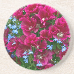 Porta-copos Godetia E Lobelia