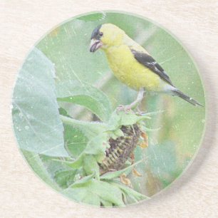 Porta-copos Goldfinch Grunge