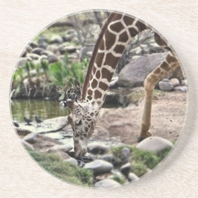 Porta-copos Gracious Giraffe (Frente)