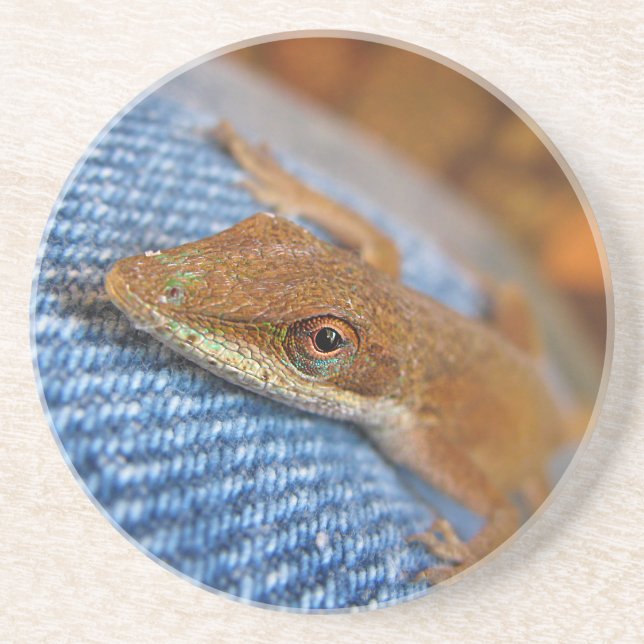 Porta-copos Green Anole Lizard (Frente)