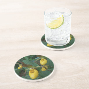 Porta-copos Grupo de flores amarelas da orquídea de deslizado