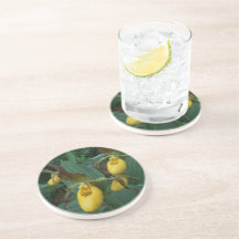 Grupo de Flores das Orquídeas de Escorrega Amarela