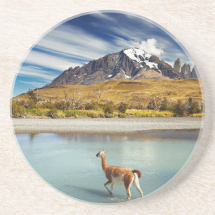 Porta-copos Guanaco que cruza o rio em Torres del Paine