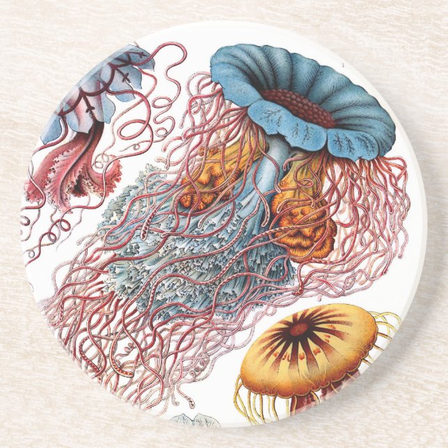 Porta-copos Haeckel (Frente)