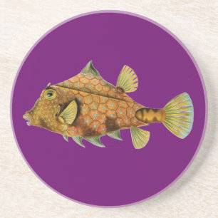 Porta-copos Haeckel Fish