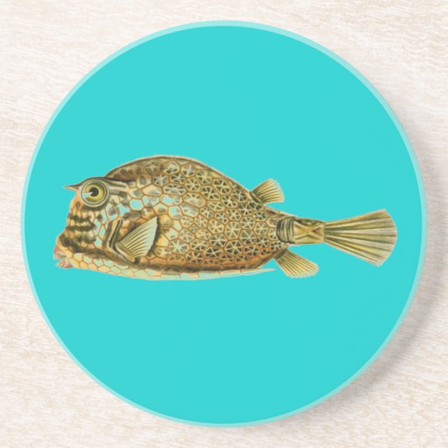 Porta-copos Haeckel Fish (Frente)