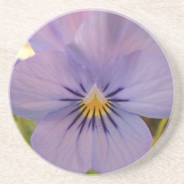 Porta-copos Haetzlern (Frente)