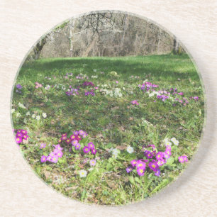 Porta-copos Harbinger de Primavera