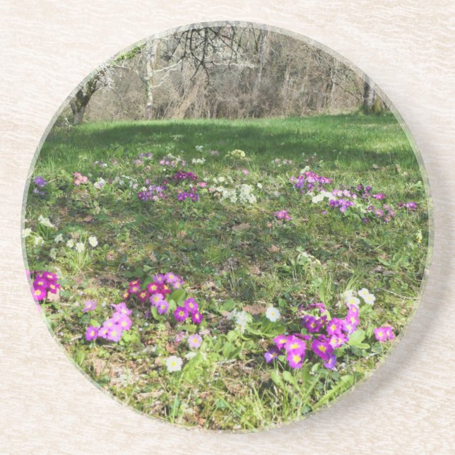 Porta-copos Harbinger de Primavera (Frente)