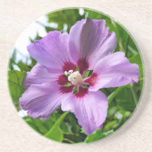 Porta-copos Hibiscus
