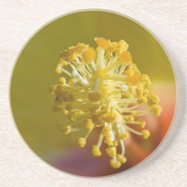 Porta-copos Hibiscus Amarelo do Havaí dentro (Frente)