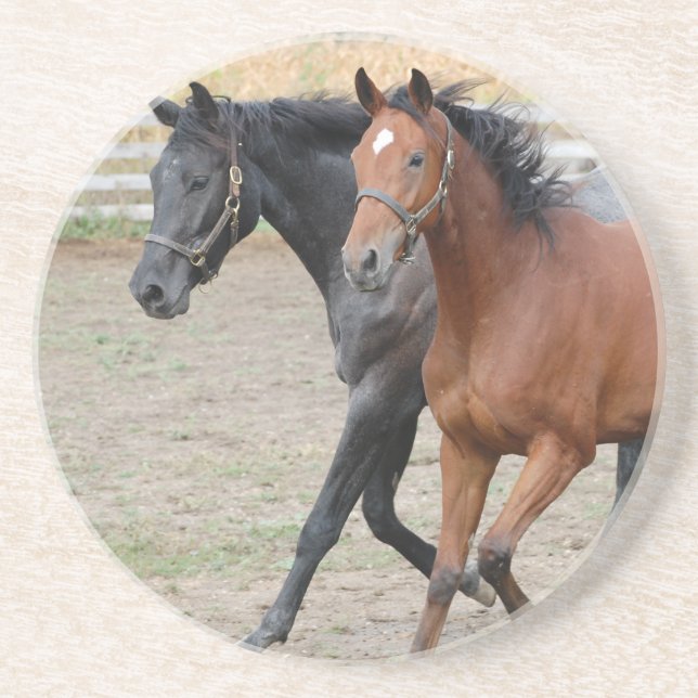 Porta-copos Horse Play (Frente)