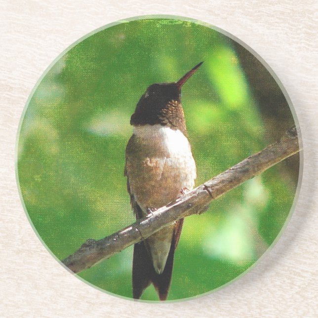 Porta-copos Hummingbird Morning (Frente)