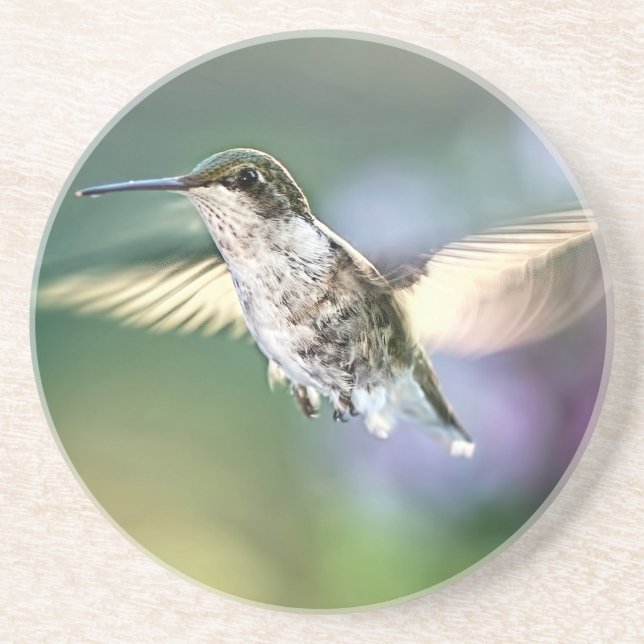 Porta-copos Hummingbird Voando (Frente)