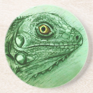 Porta copos Iguana Verde SandStone, Desenho Realis