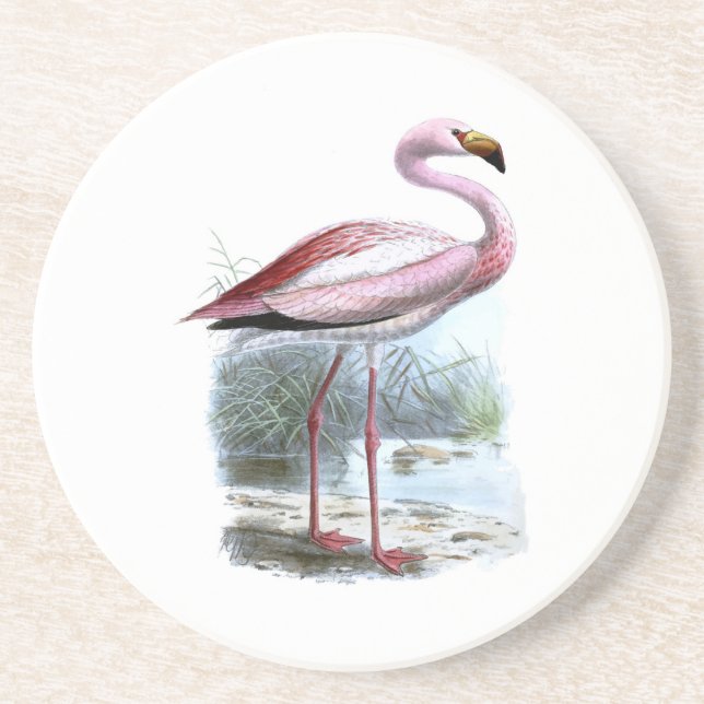 Porta-copos Ilustração de Puna Flamingo Vintage (Frente)