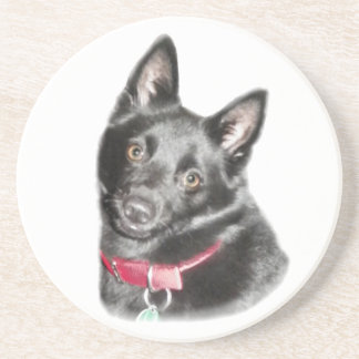 Porta-copos Imagem de Schipperke
