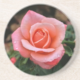 Porta-copos Impressão de Arte Botânica Rosa Romântica