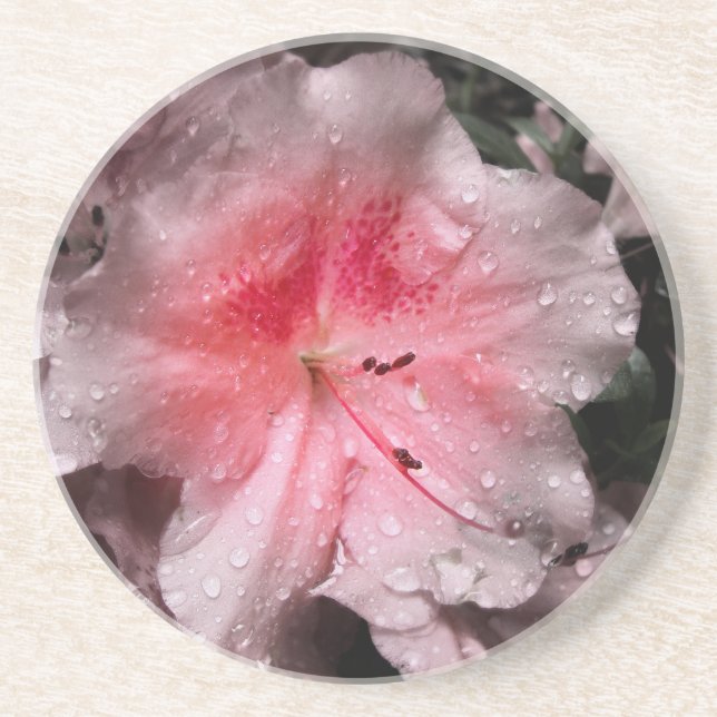 Porta copos interna brilhante (Frente)