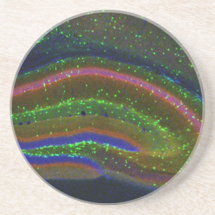 Porta-copos Interneuron 6