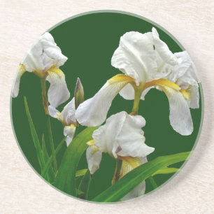 Porta-copos Iris Blossomas Brancos