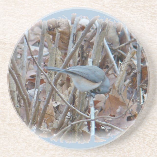 Porta-copos Itens de Coordenada do Ímpeto do Titmouse Tufado (Frente)