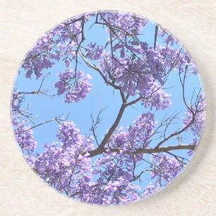 Porta-copos Jacaranda Blossoms
