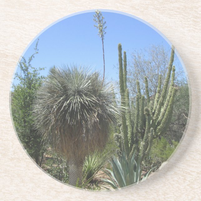 Porta-copos Jardim Cactus (Frente)