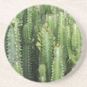 Porta-copos Jardim de Cactus