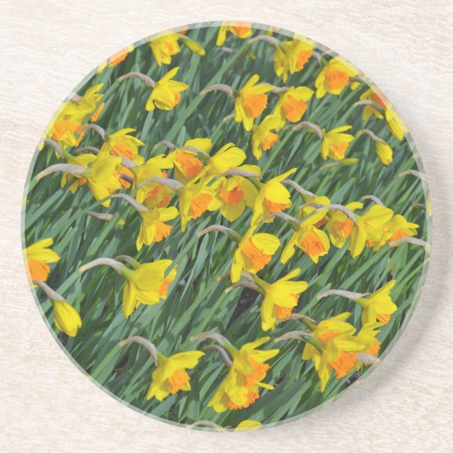 Porta-copos Jardim de daffodils primavera amarelo-claro (Frente)