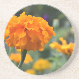 Porta-copos Jardim de Fotografia da Flor Laranja Marigold