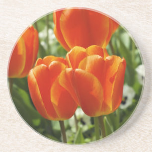 Porta-copos Jardim de Tulipas da Primavera