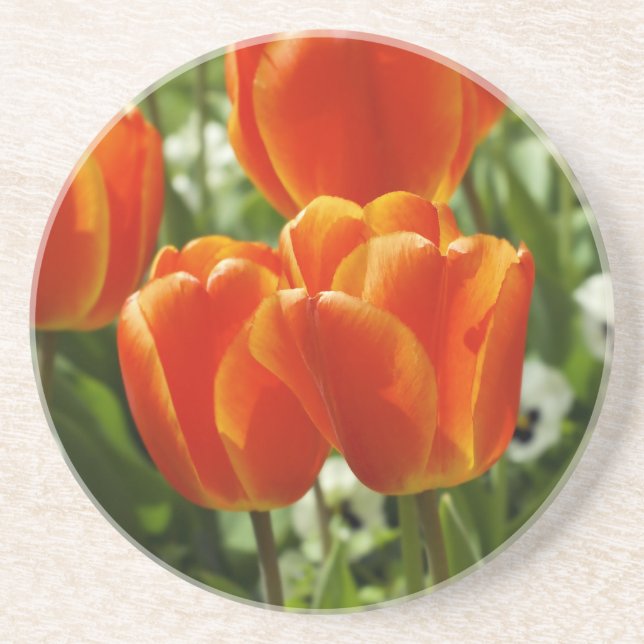 Porta-copos Jardim de Tulipas da Primavera (Frente)