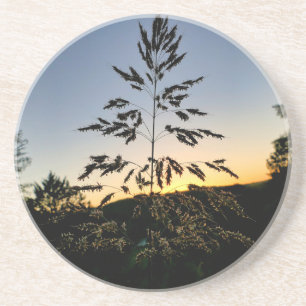 Porta-copos Johnson Grass