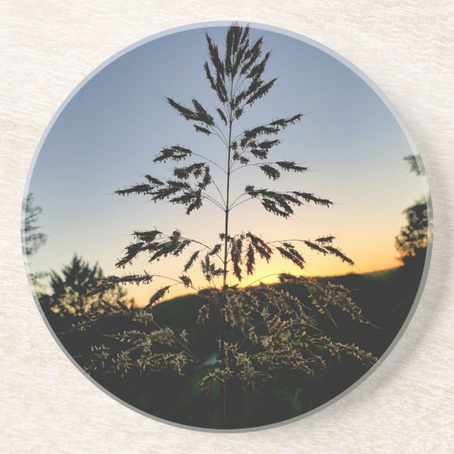 Porta-copos Johnson Grass (Frente)