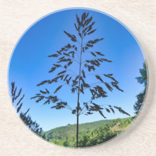 Porta-copos Johnson Grass