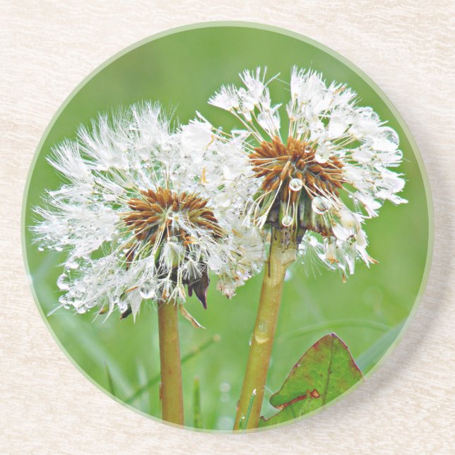 Porta-copos Juntos. Sempre (Frente)