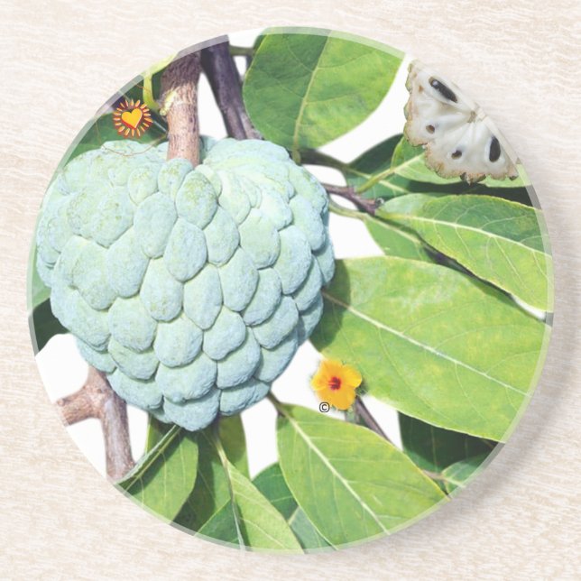 Porta-copos La pomme-cannelle - Verre à shot (Frente)