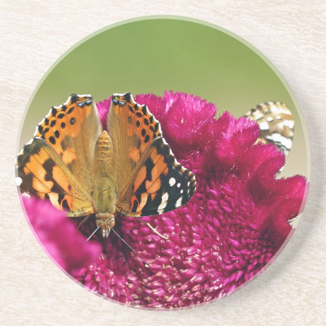 Porta-copos Lady Butterfly Pintada (Frente)