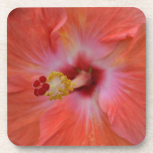 Porta copos Laranja Hibiscus Cork