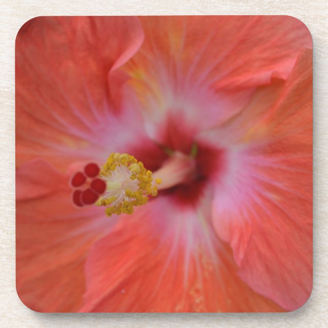 Porta copos Laranja Hibiscus Cork (Frente)