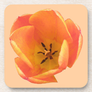 Porta copos Laranja Tulip Cork