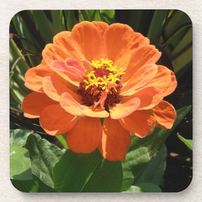 Porta copos Laranja Zinnia Cork (Frente)