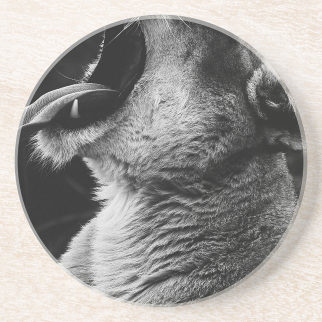 Porta-copos leão (Frente)