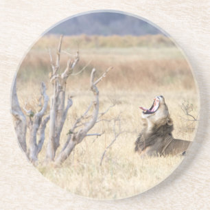 Porta-copos Leão de bocejo