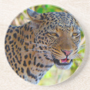 Porta-copos Leopardo Manchado