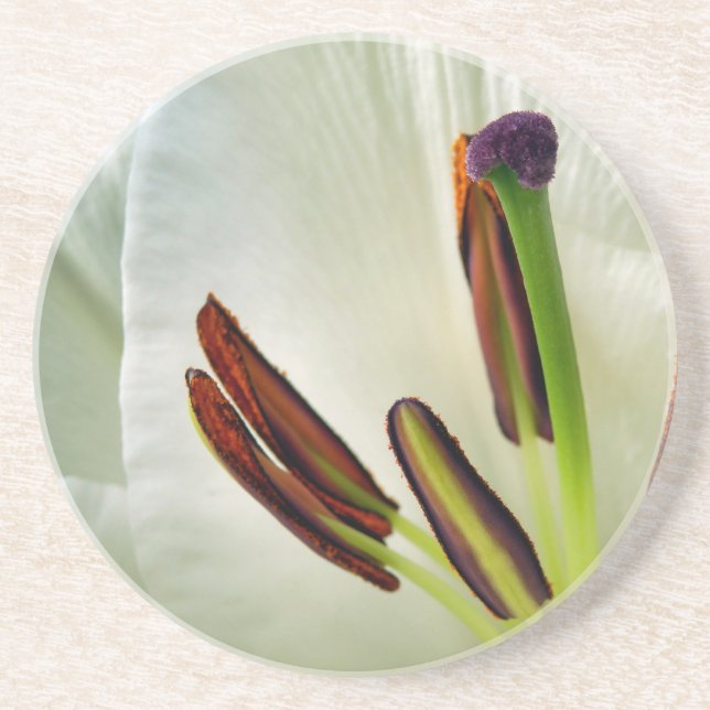 Porta-copos Lilium Oriental White (Frente)